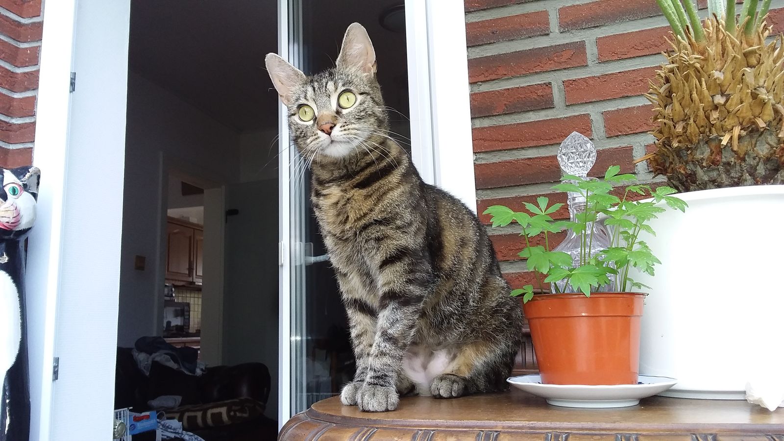 Neues Zuhause – Lissy