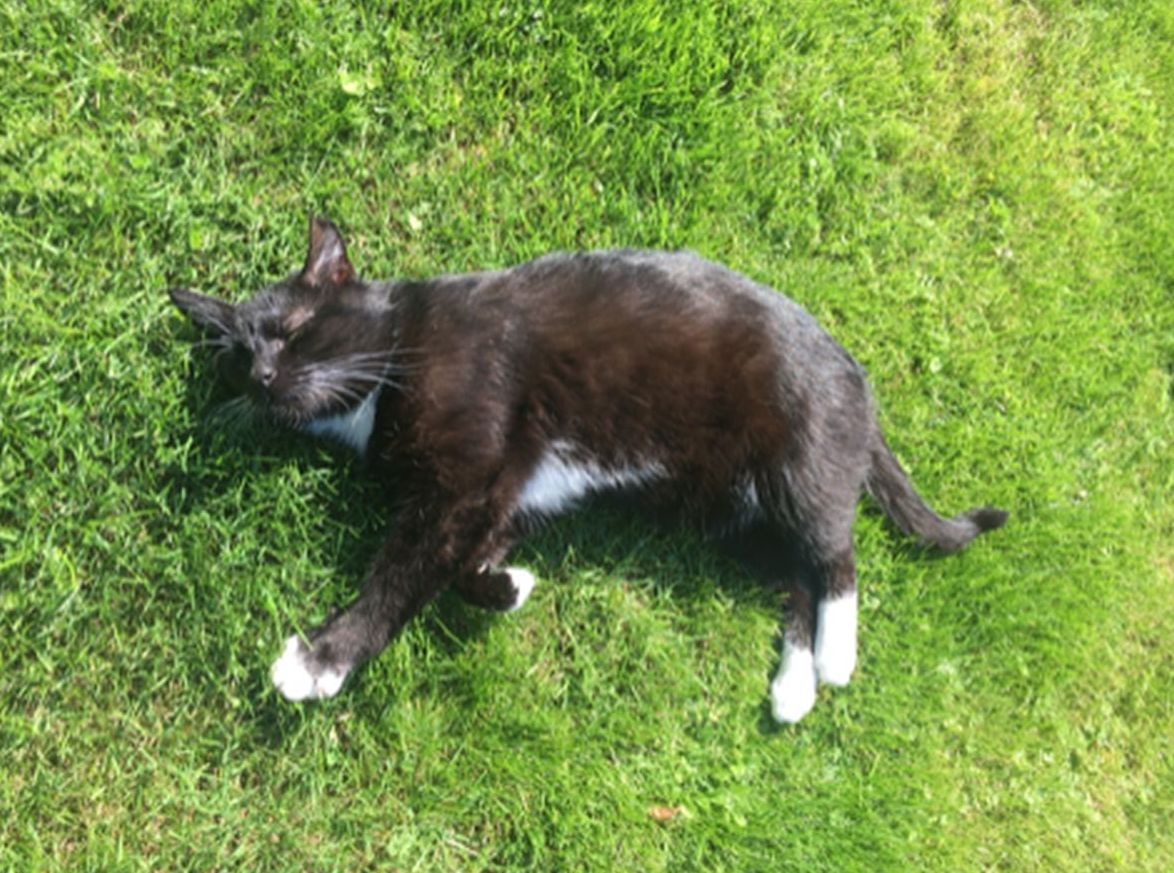 Neues Zuhause – Lenni