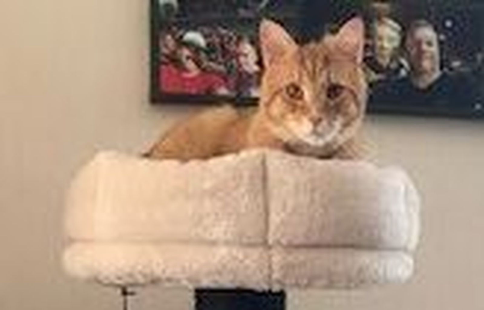 Neues Zuhause – Hannah und Roti grüßen