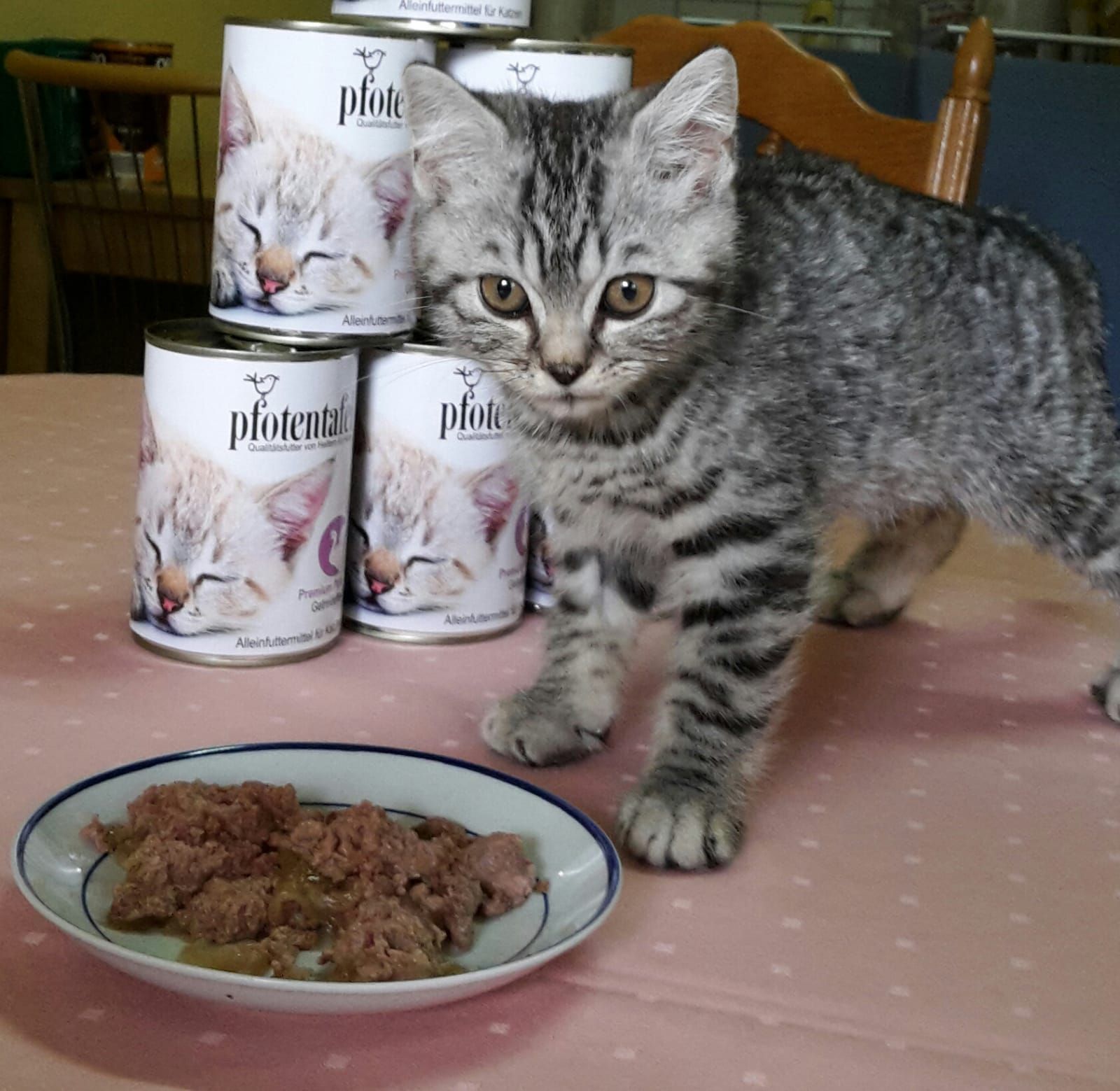 Das Tierheim und seine Bewohner danken der Pfotentafel