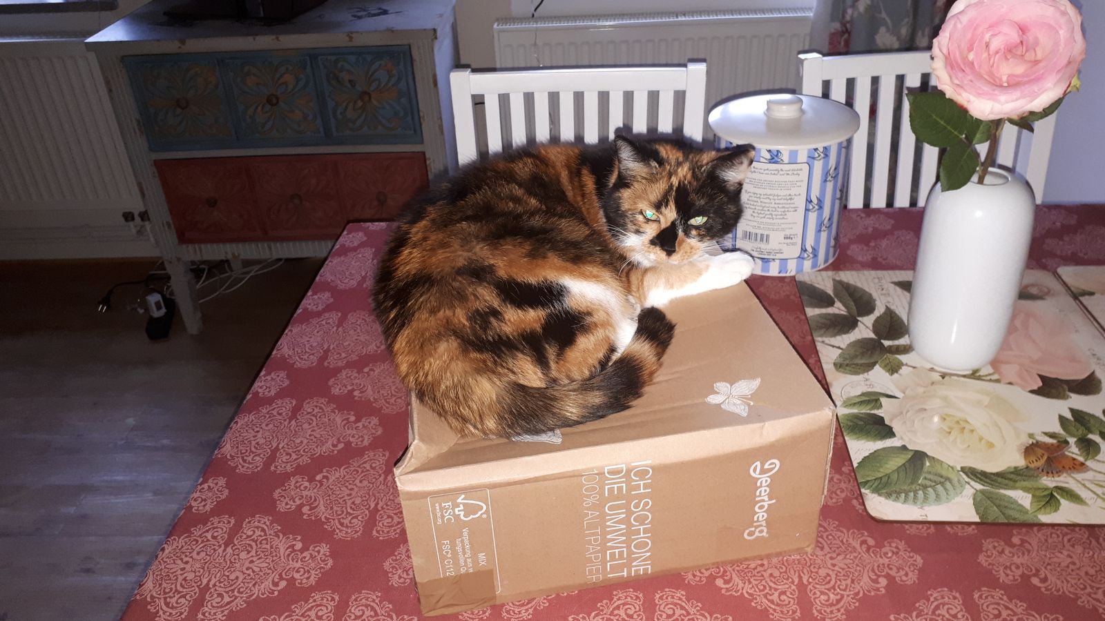 Neues Zuhause – Lilli grüßt nach 1 Jahr im neuen Zuhause