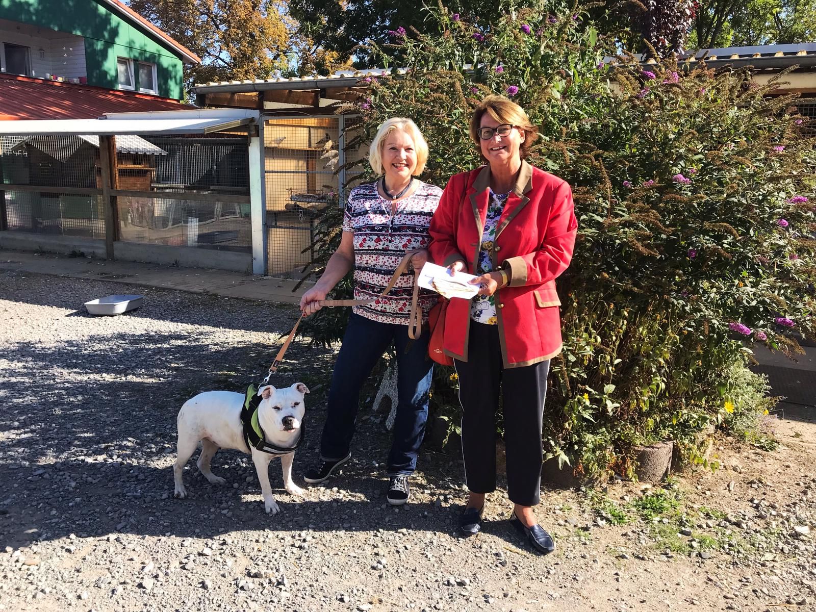 Ein großes Dankeschön an Hermann Rappe