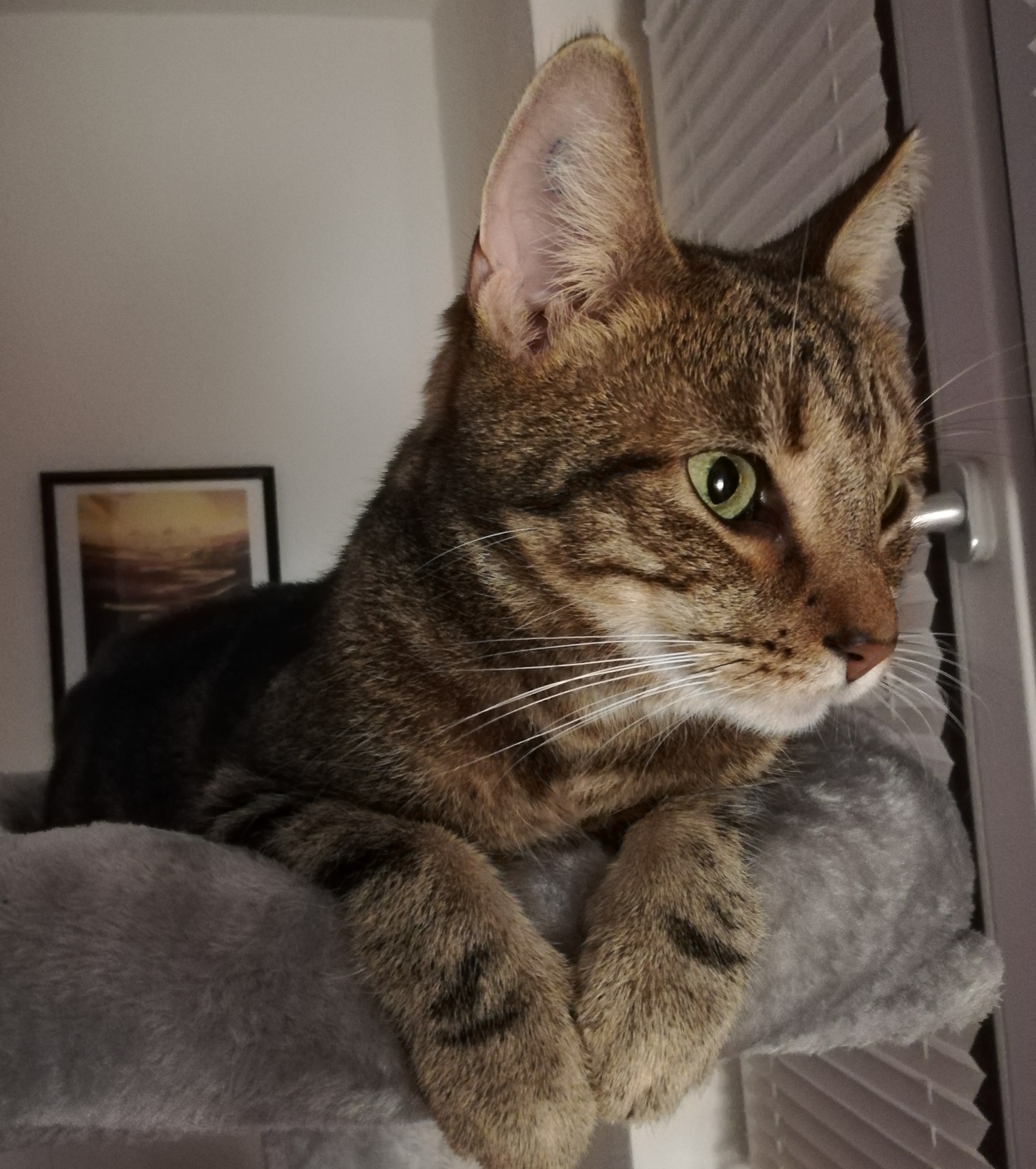 Neues Zuhause – Peach und Bailey grüßen