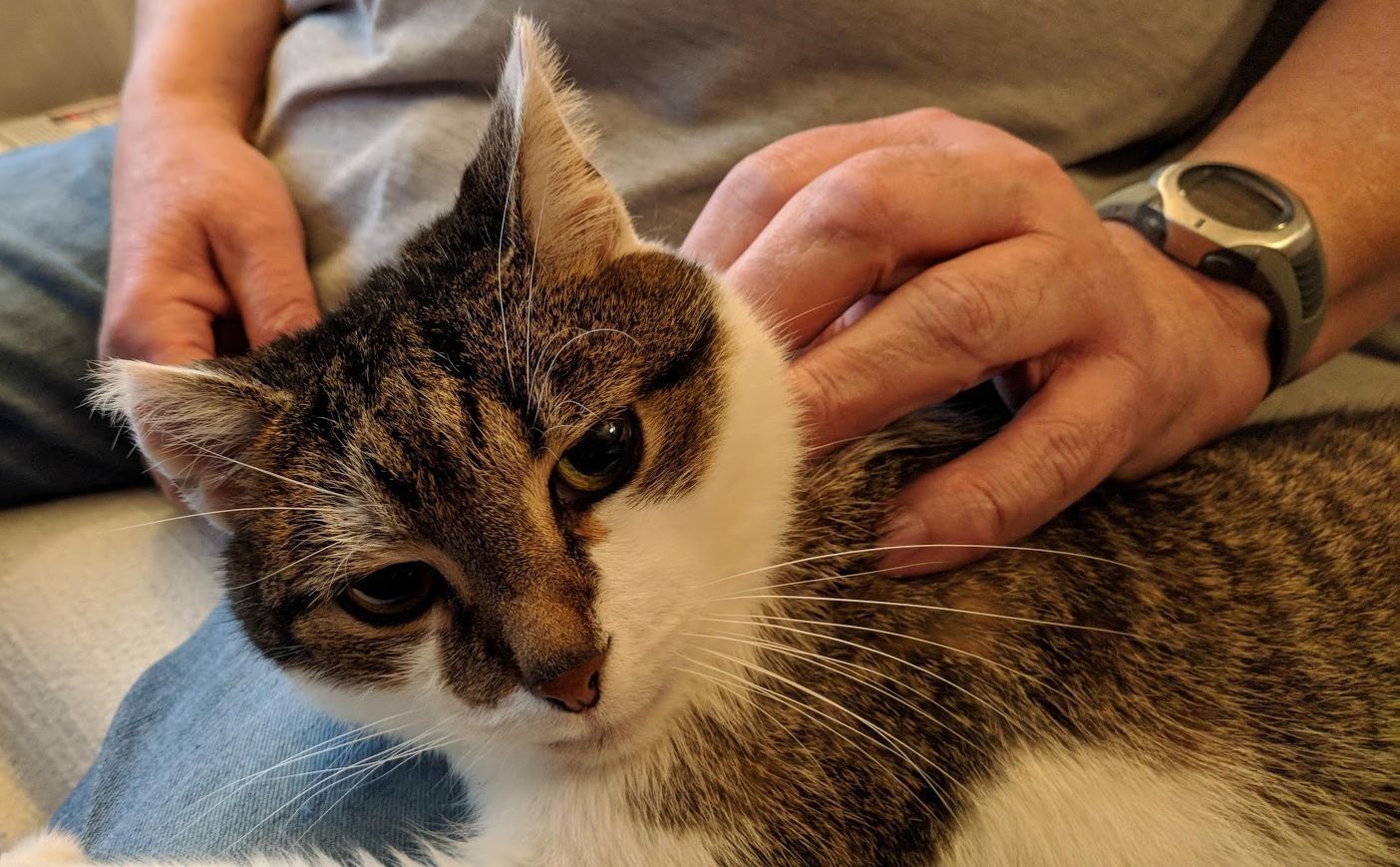 Neues Zuhause – Sunday grüßt