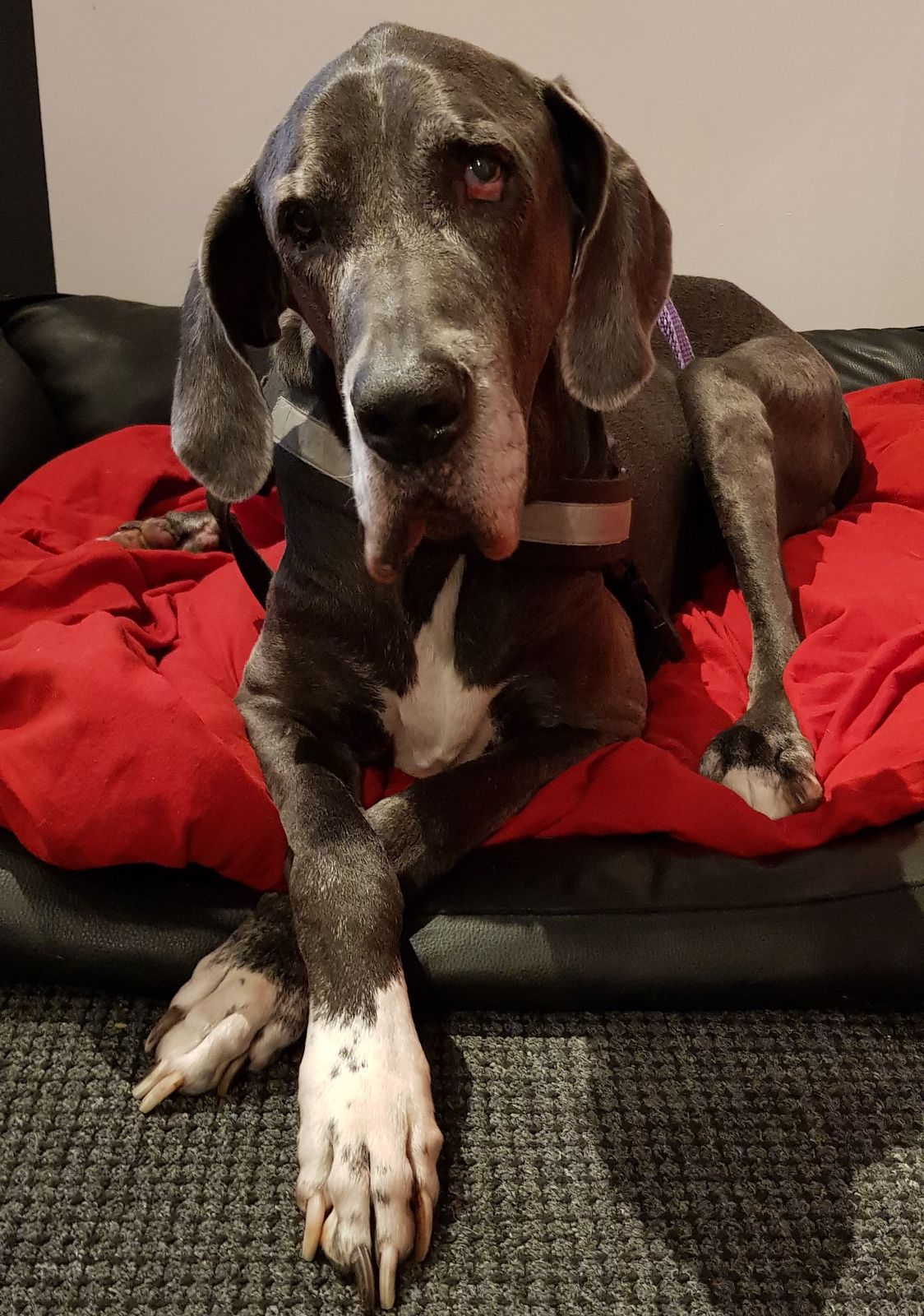 Seniorin Shari grüßt