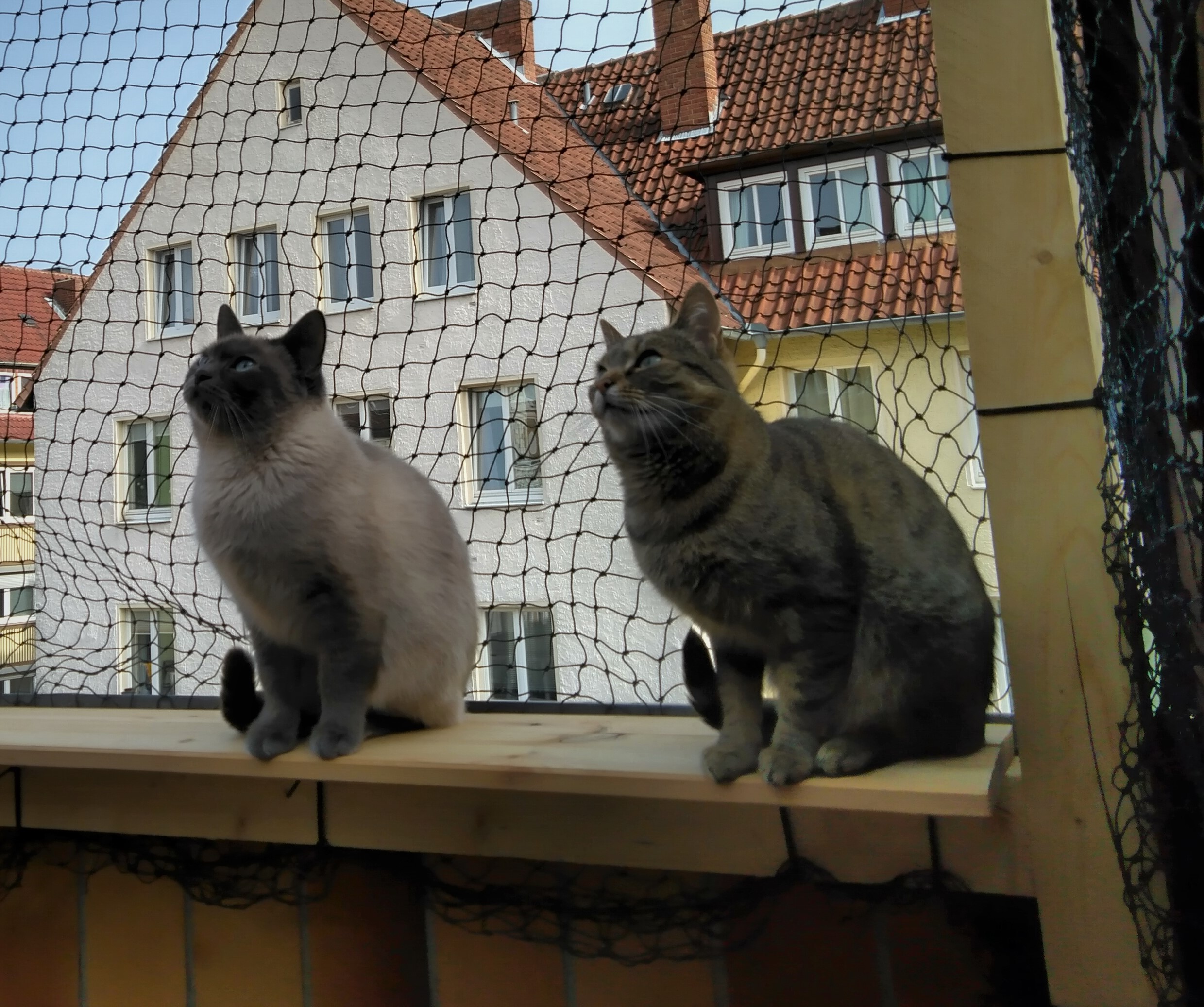 Neues Zuhause – Yuna und Yuca grüßen herzlich