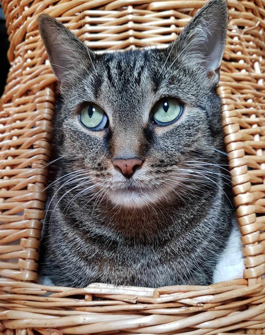 Neues Zuhause – Grüße von Gismo aus Balkonien