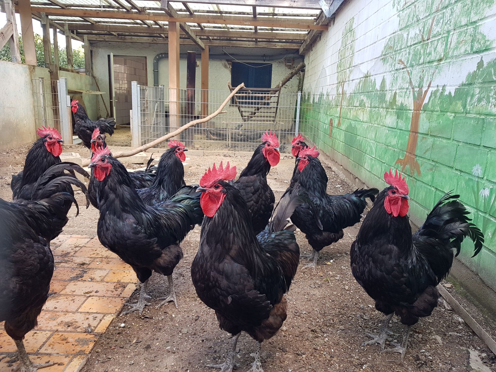 Bitte unterstützen Sie unser Croudfunding-Projekt jetzt finanziell und spenden über den Link