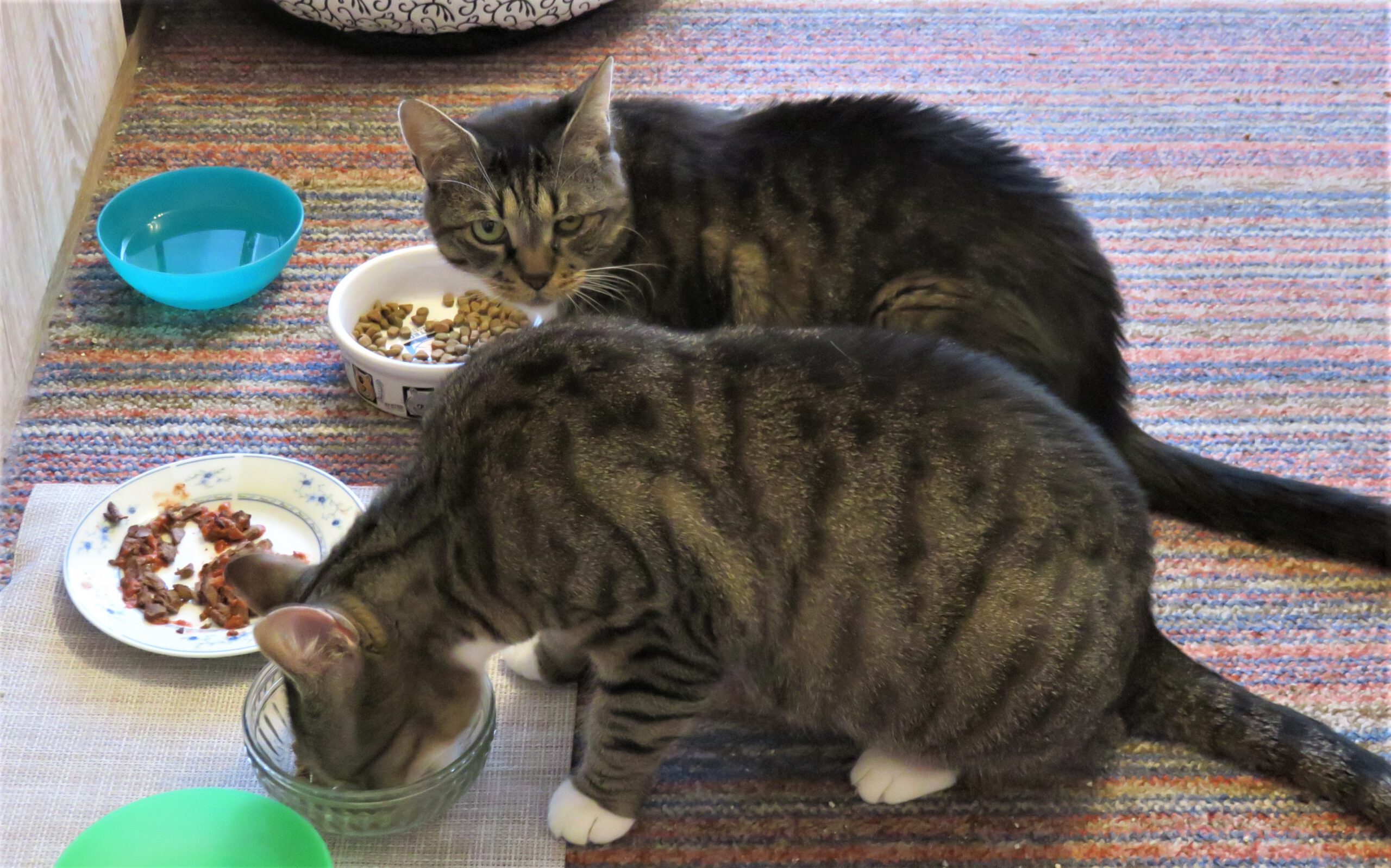 Neues Zuhause – Jana und Kathrin grüßen