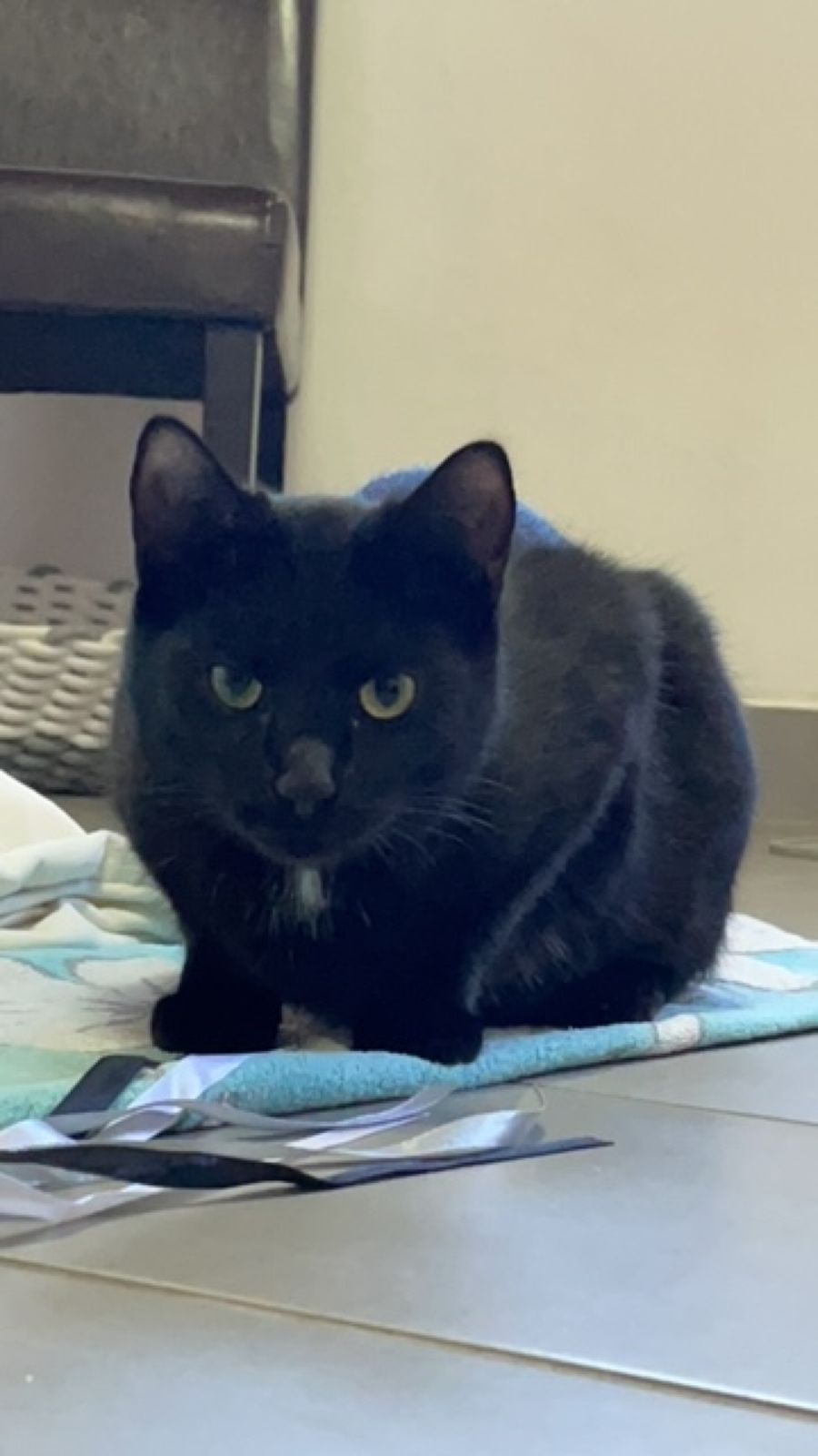 Neues Zuhause – Fran und Charlene