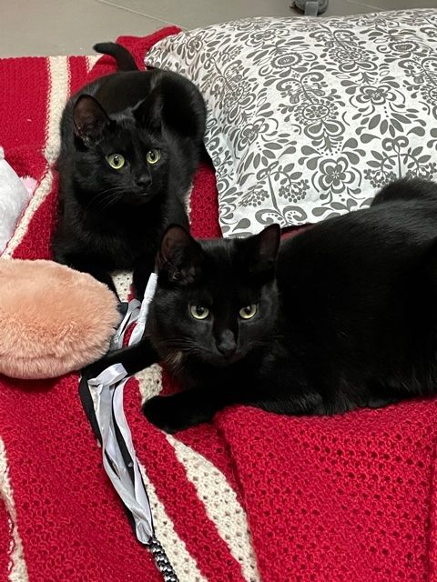 Neues Zuhause – 4. Woche Fran und Luna