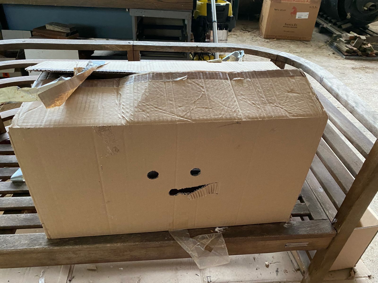 Zugelaufen – 2 in Karton ausgesetzte Katzen in Sillium