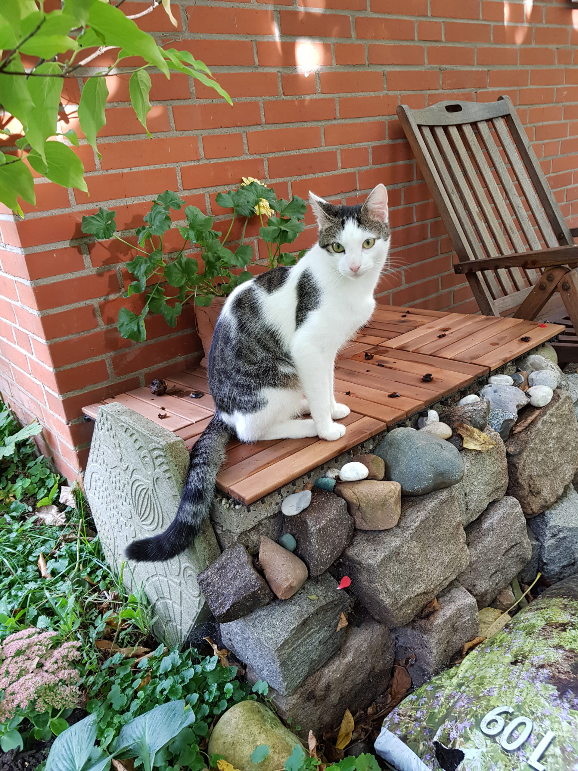 Neues Zuhause –   Carlo (Mario) und Freddy (Luigi) grüßen