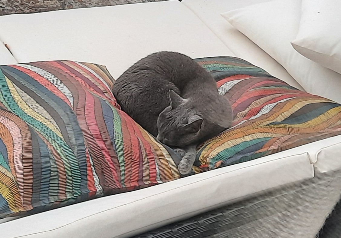 Neues Zuhause – Vanya grüßt