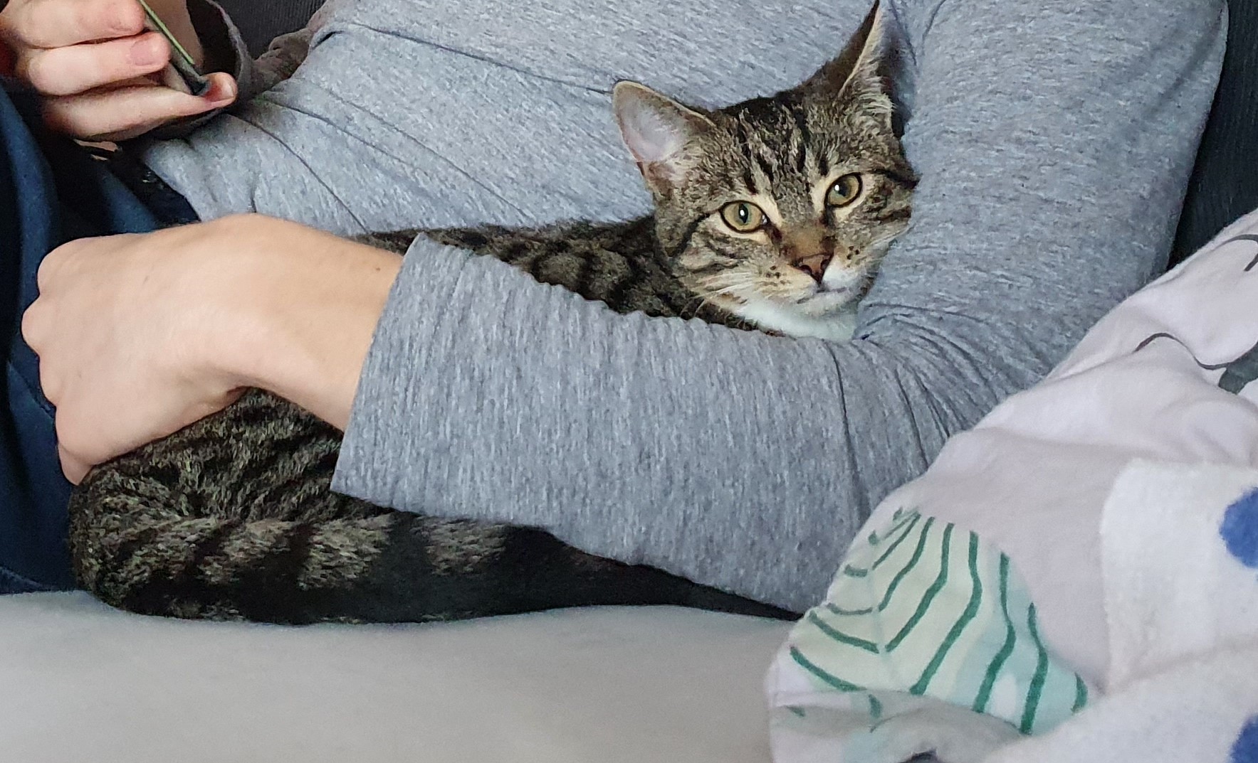 Neues Zuhause – Chloe grüßt