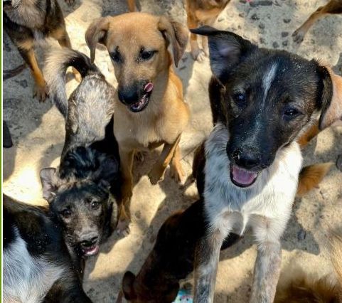 Um Mithilfe und Unterstützung wird gebeten