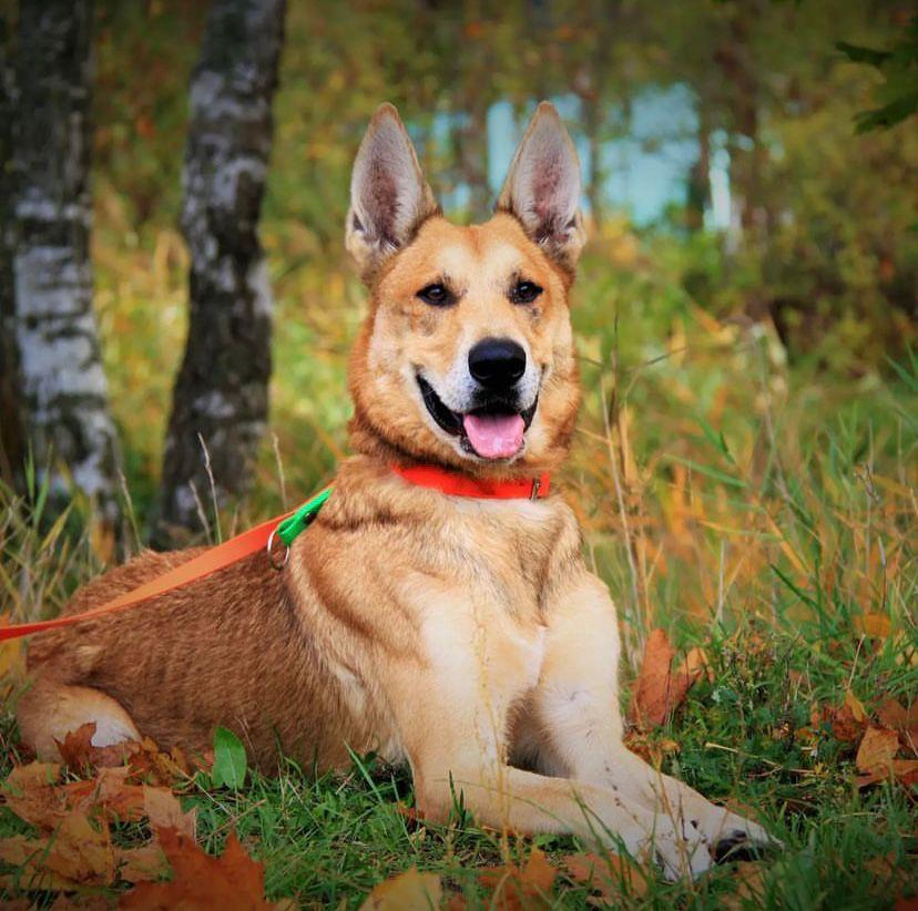 Wir sagen Danke – Internat für Heinrich