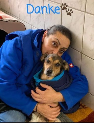 Update zu unserem krebskranken Lucky